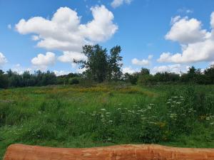 Annelies 03 Rara waar was ik